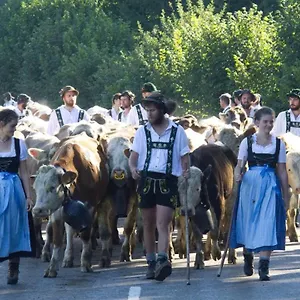 https://fewo-staufen-lodge-oberstaufen.com-bavaria.com